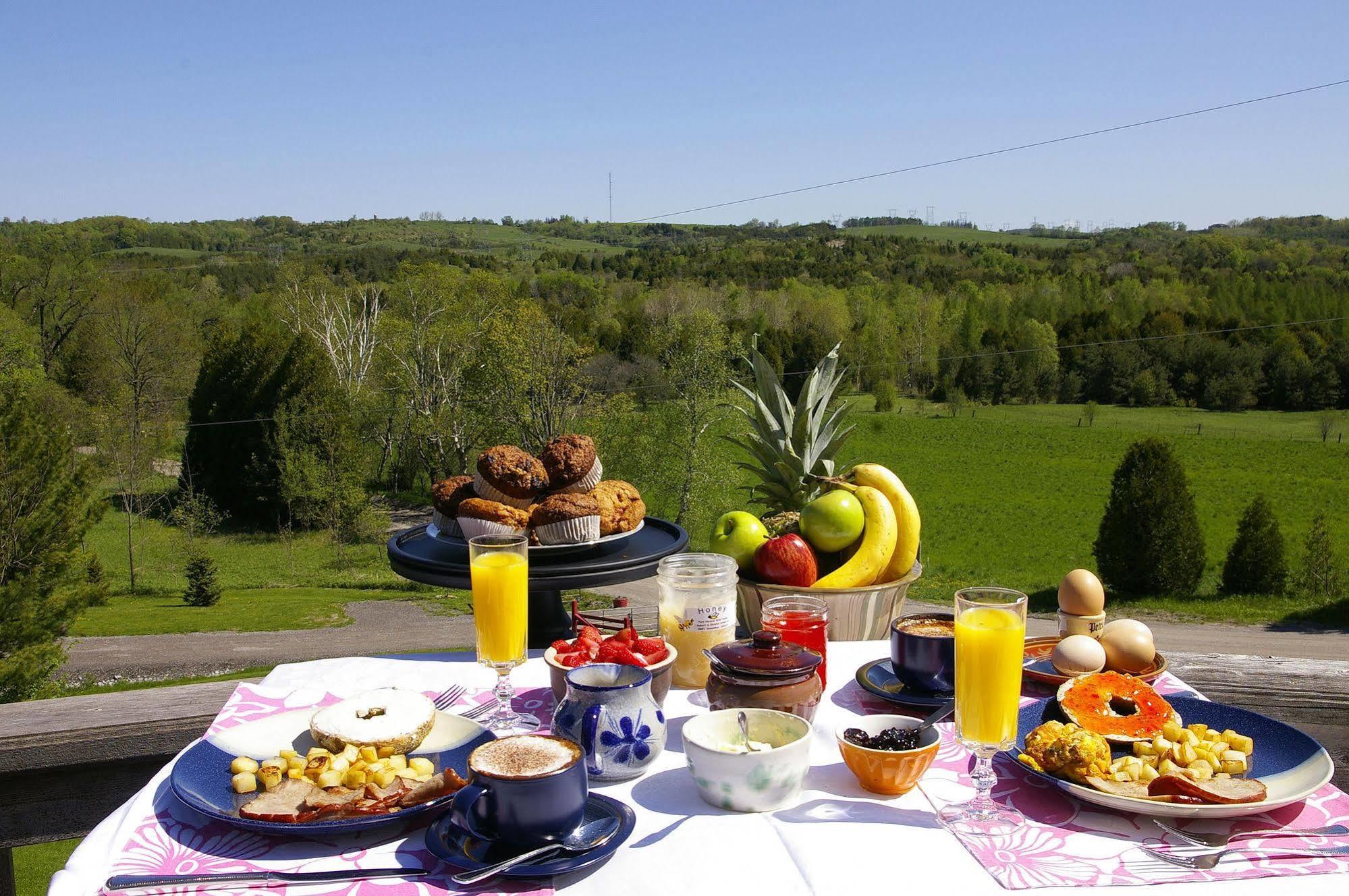 Our Valley View Bed & Breakfast Χάμπτον Εξωτερικό φωτογραφία