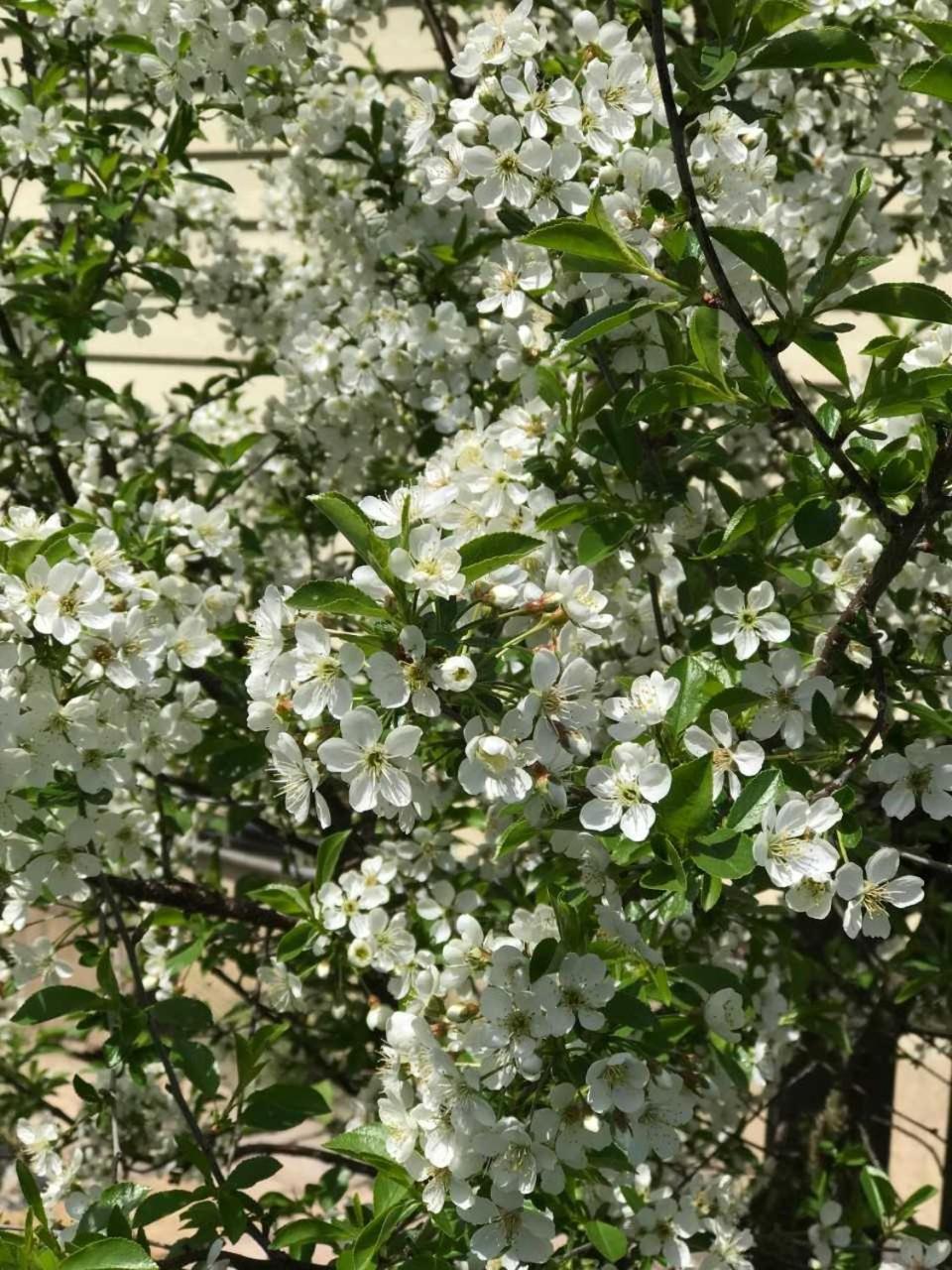 Our Valley View Bed & Breakfast Χάμπτον Εξωτερικό φωτογραφία